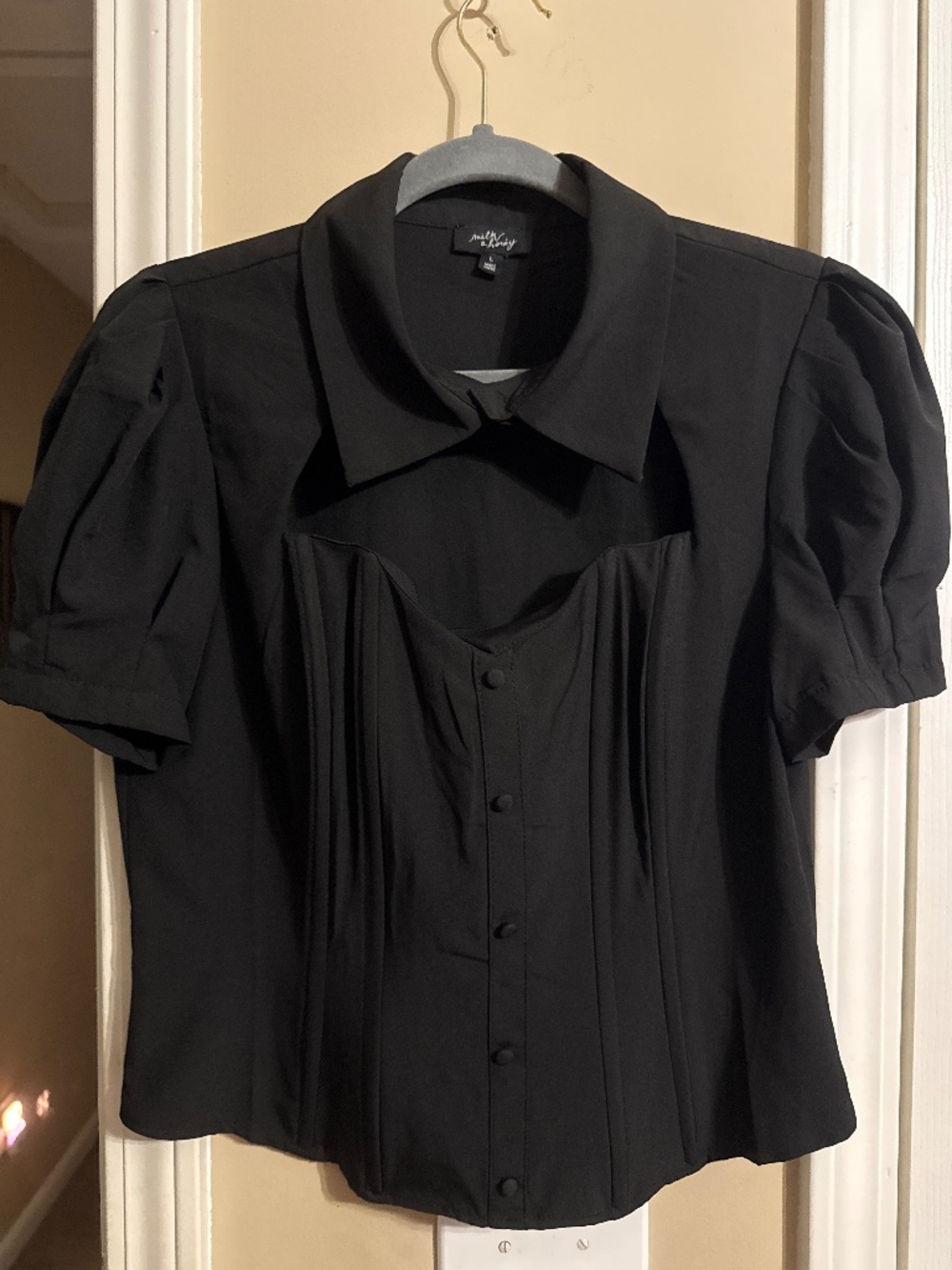 NWOT Adorable Milk and Honey corset top with button up detailing size Large - Picture 4 of 5